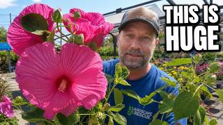 These Perennials Stopped Me in Their Tracks at Lowe's