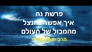 פרשת נח -איך אפשר להינצל מהמבול שיש בעולם?