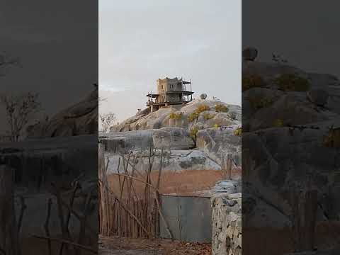 Árvore Capitão de Campos. No Piauí temos uma cidade com esse nome. É uma árvore típica dos serrados.