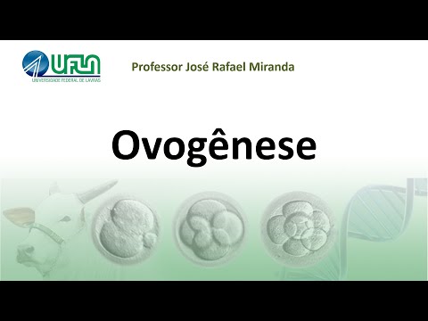 Ovogênese