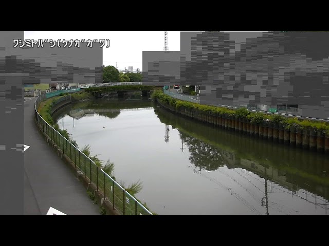 鷲宮橋映像監視局