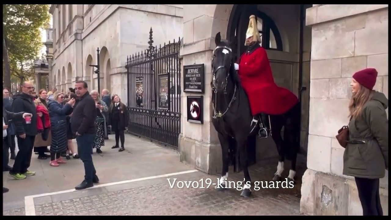 Top 15 most loudest yell this week