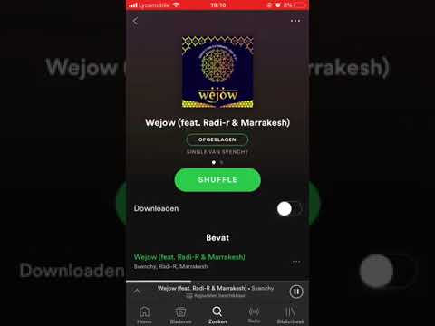 Svenchy Ft radi r hele song