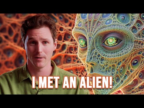 What is DMT Really Like: I Met An Alien On DMT.