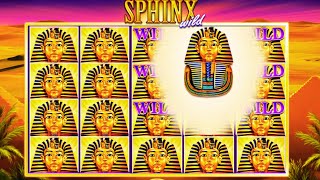 NEW BIG WIN on Sphinx Wild Slot by IGT! Video