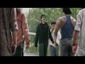 Pawan Kalyan Royal Bengal Tiger Dialogue