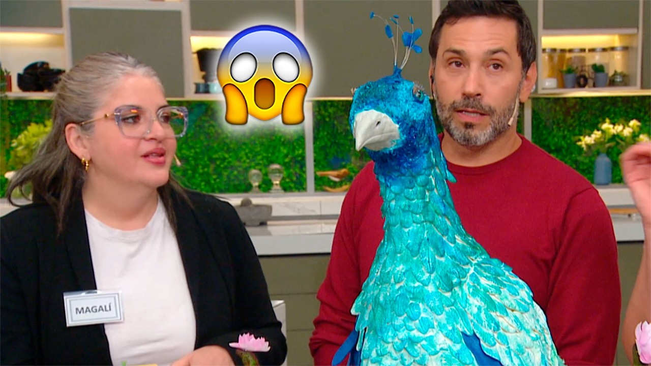 Esta torta de diseño no es ninguna pavada: El realismo llegó a otro punto con este pavo real