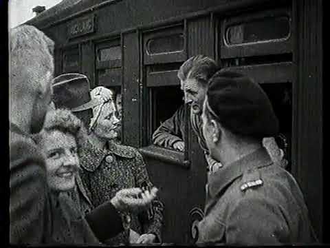 THE WAY WE WERE  -  N Z R  TRAINS