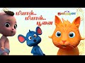 மியாவ் மியாவ் பூனைக்குட்டி தமிழ் குழ