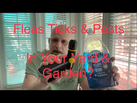 Get Rid of Fleas Ticks Pests in Your Yard Lawn & Garden Fast Cheap & Easy