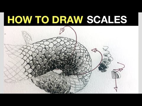 How to draw & shade realistic scales | Line drawing tips