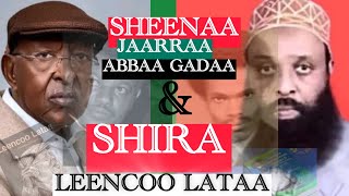 Download lagu “ICCITIIN mooraa Qabsoo #oromoo  diigaa turtee arraas diigaa jirtu tana”😢~ Murti Guuto Kutaa 2ffaa🙄 mp3