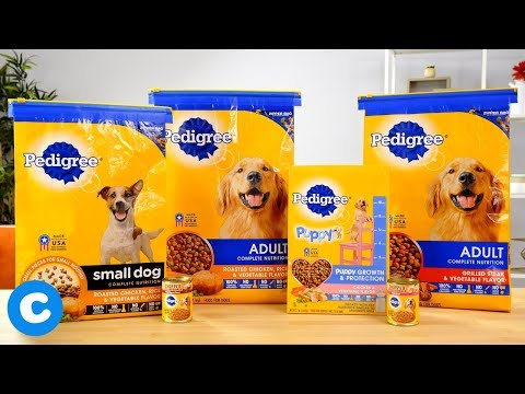 Pedigree Dry and Wet Dog Food