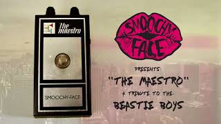 Smoochyface - The Maestro (Beastie Boys Cover)