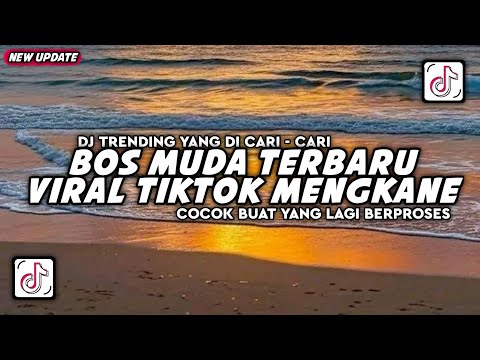 DJ BOSS MUDA VIRAL TIK TOK TERBARU || DJ BOS MUDA VIRAL 