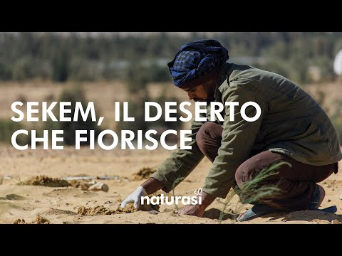 Io ci metto la faccia ! Un viaggio con i Bio-agricoltori: Sekem, il deserto che fiorisce, un miracolo di coraggio e volontà