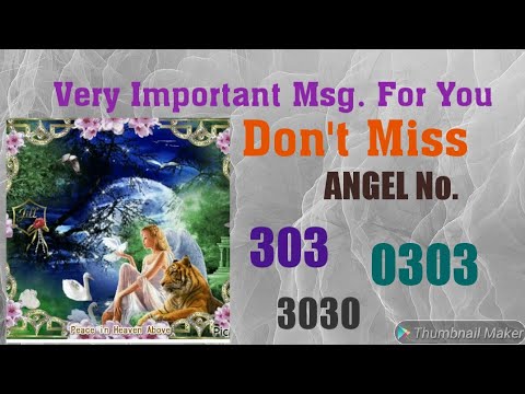 ANGEL No.   303,   3030,   0303   (हिन्दी)........ Divine Message For You
