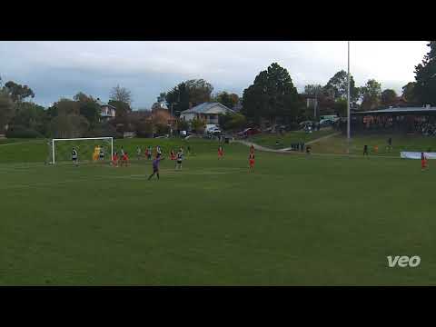 2023 FFV State League 4 North | RD9 | Men's Seniors | Brunswick Zebras FC vs Plenty Valley Lions