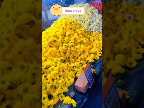 # flowers # karthikamasam # H cross # yt shorts # thiru vlogs # subscribe