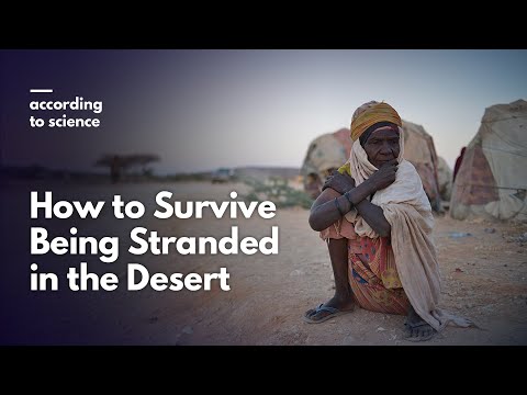 How to Survive Being Stranded in the Desert, According to Science