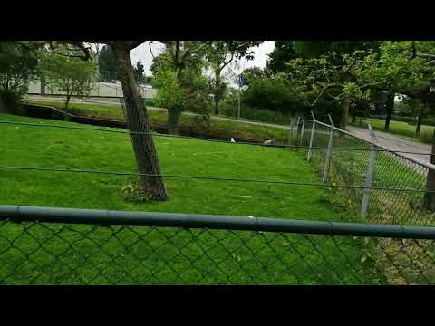 Montfoort dierenweide (5)