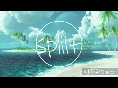 Michel telo docteur steeve