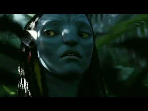 Andrey Pitkin, Alexander Gecko   Flying Emotion Video Edit