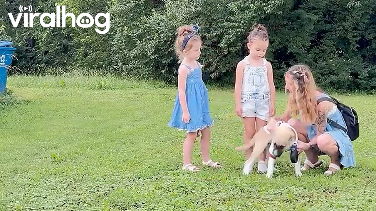 Trying to Take a Family Photo but My Puppy Had Other Thoughts || ViralHog