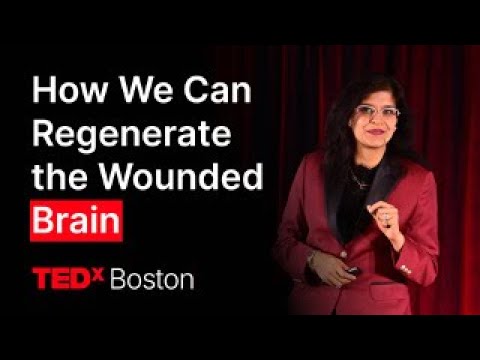 A new era in neuroregeneration | Annie Kathuria | TEDxBoston