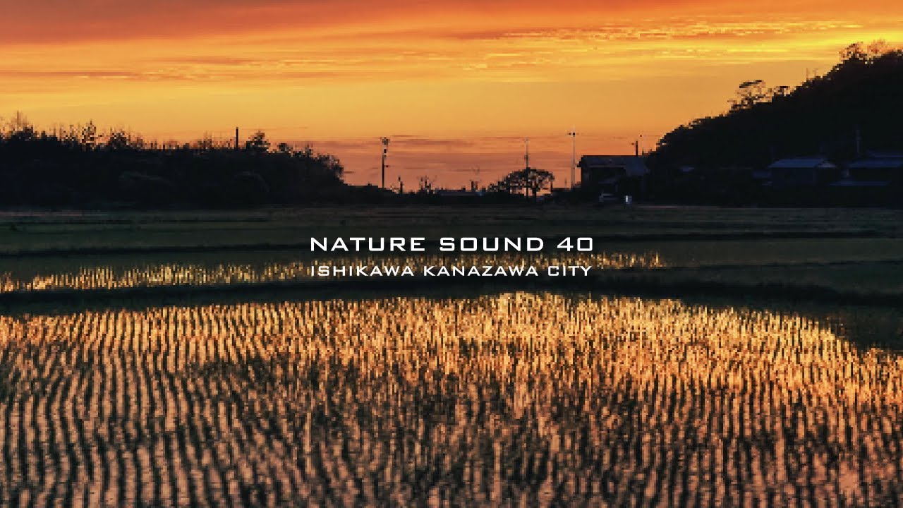 Nature Sound 40 - Frogs sound in the rice paddies in Kanazawa in late April  5.1 Surround Recorded