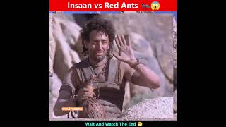 Insaan vs red ants 😱⚠️ || movie explained in hindi #shorts #movie #shortvideo #movieexplaination
