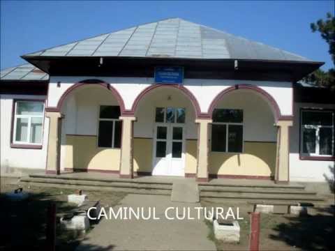 Scoala cu clasele I-VIII , Com. Stefan cel Mare , jud.Calarasi [ Comunitatea noastra - Grupa III]