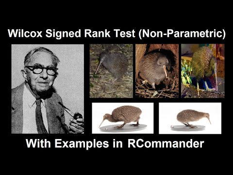 28. Non-Parametric T-Tests Alternatives - Wilcoxon Signed Rank Test (with Examples in RCommander)