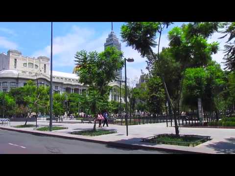 Levi Petite - Traffic