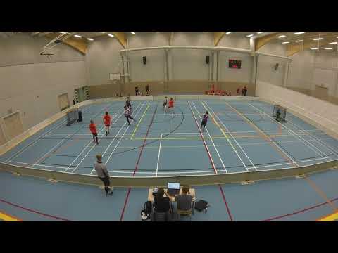 3.11-18 Zoneliika 08-09 Duo - Flanels