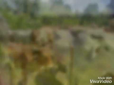 Casa de adobe puro olancho