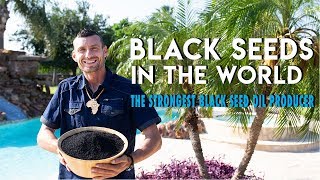 Black seeds in the World