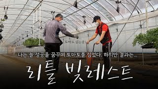 3억 대출, 토마토 심어서 갚을 수 있을까?