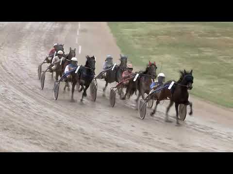 2019.05.04. 02. futam - DR. BOROSTYÁNKŐY TAMÁS EMLÉKVERSENY - I. ELŐFUTAM