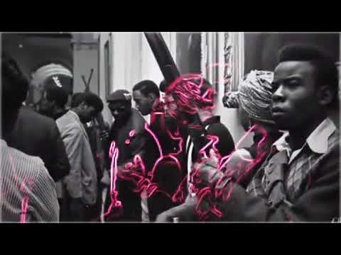 Endemic Emerald - 'Revolutionary' (Official Video)