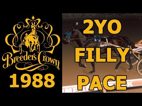 1988 Breeders Crown - Central Park West - 2FP