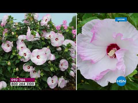 HSN | Outdoor Living 03.05.2021 - 05 AM