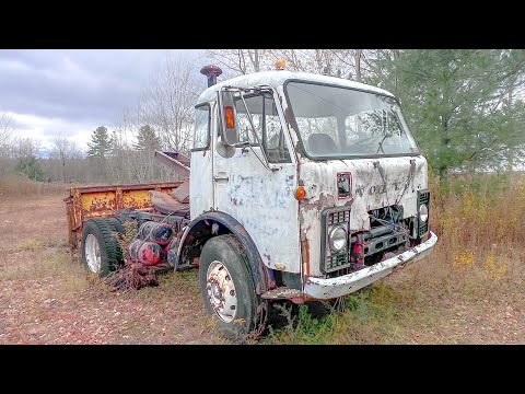 RARE Cabover SAVED from the scrap yard - WILL IT RUN??
