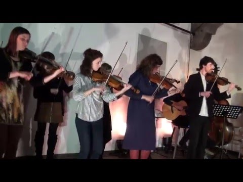 Godalkanje Special Courses 2015/16 - Transylvanian Suite