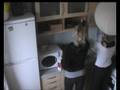 Two Girls One Cup