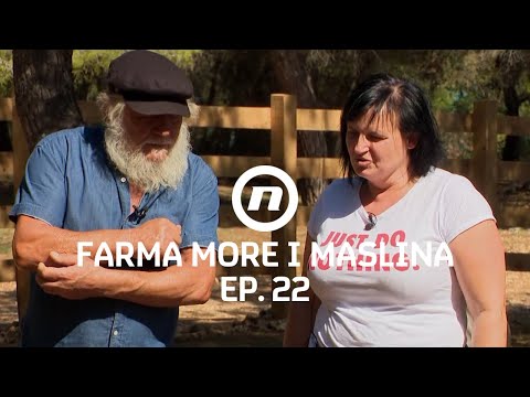 Kako je prošao zadatak? - Epizoda 22 | Farma More i Maslina