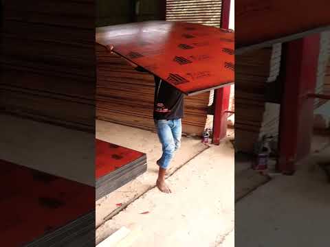 crown platinum film faced shuttering plywood contact 9108522111 for orders #shorts