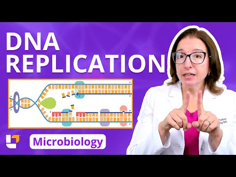 DNA Replication: Microbiology Genetics Pre-Nursing, Pre-Med & Health Field Careers | @LevelUpRN