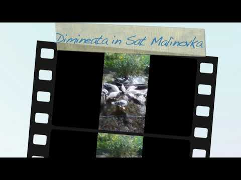 Dimineata in sat Malinovka