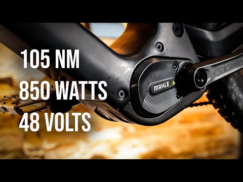 First Look: MAHLE M40 System Motor (Part 1)